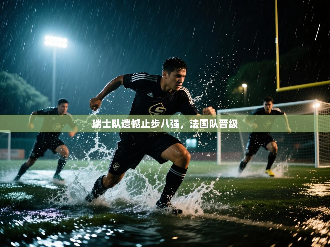 瑞士队遗憾止步八强,法国队晋级 第2张