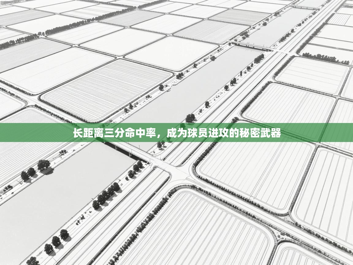 长距离三分命中率，成为球员进攻的秘密武器  第1张