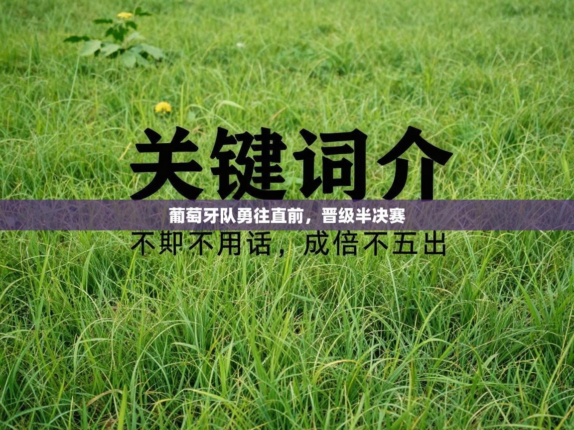 葡萄牙队勇往直前,晋级半决赛 第1张