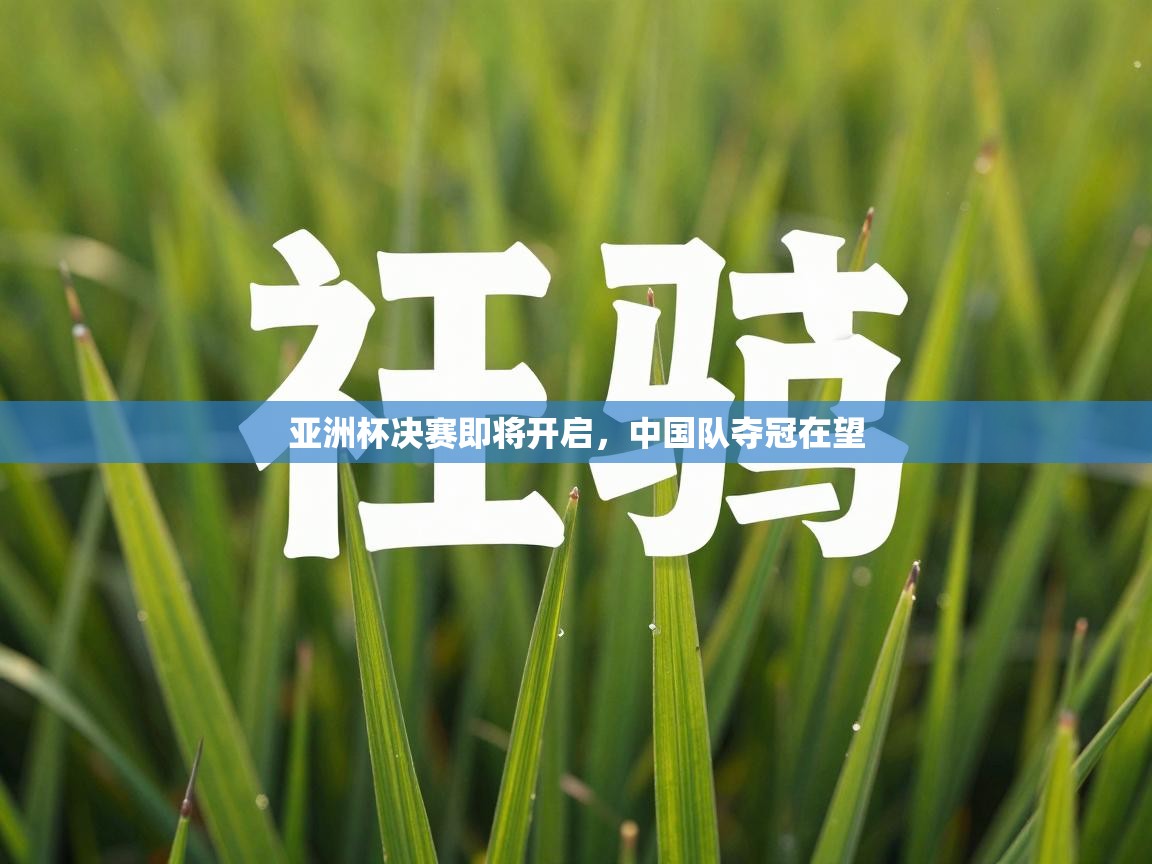 亚洲杯决赛即将开启，中国队夺冠在望  第1张