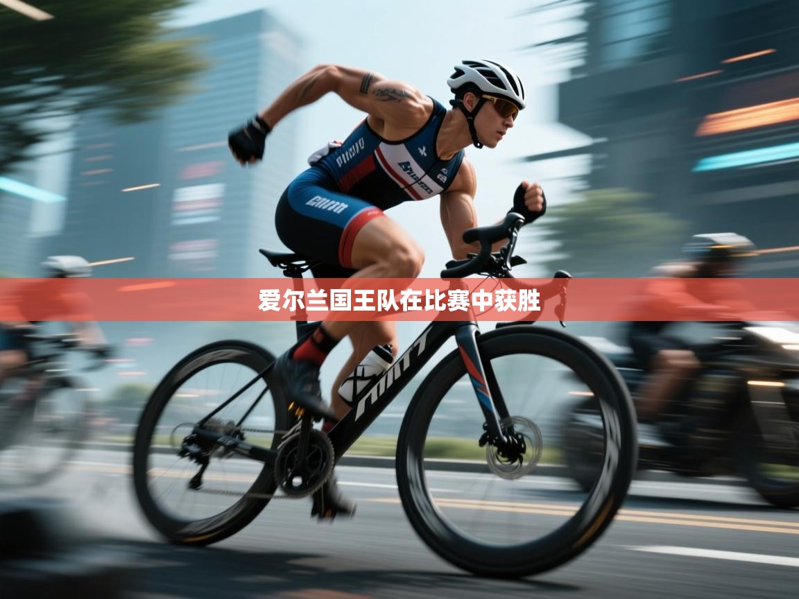 爱尔兰国王队在比赛中获胜  第1张