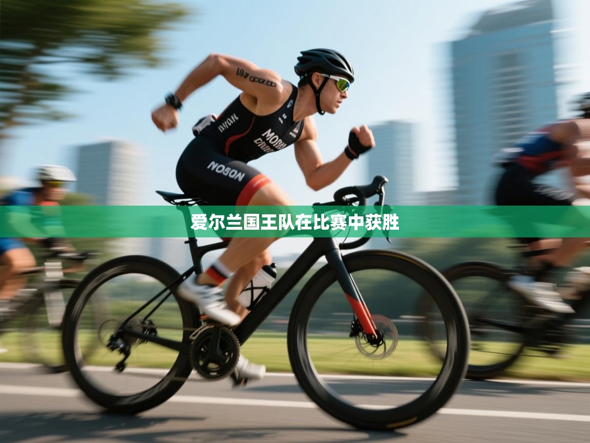 爱尔兰国王队在比赛中获胜  第2张