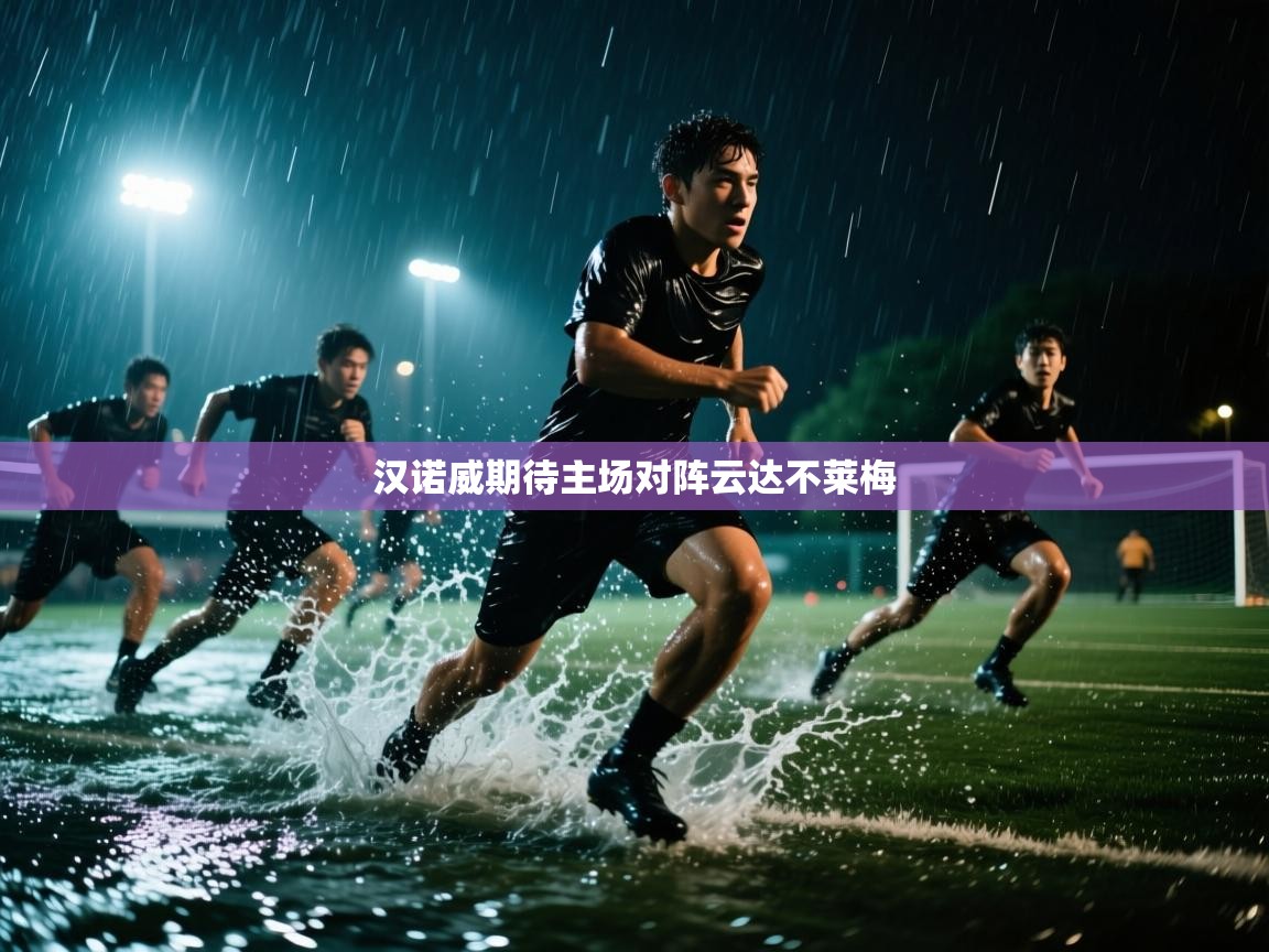 汉诺威期待主场对阵云达不莱梅  第2张