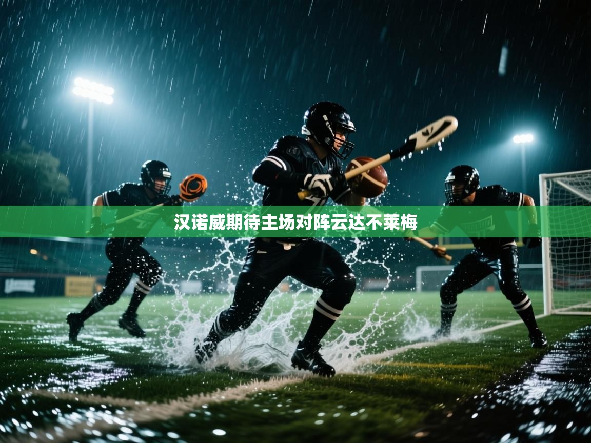 汉诺威期待主场对阵云达不莱梅  第1张