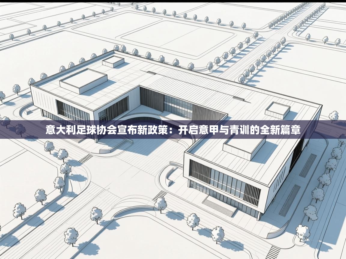 意大利足球协会宣布新政策：开启意甲与青训的全新篇章