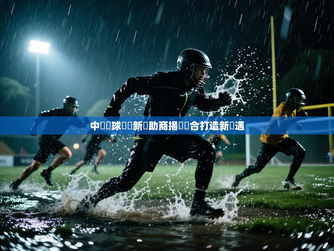 中國籃球聯賽新贊助商揭曉聯合打造新機遇  第1张