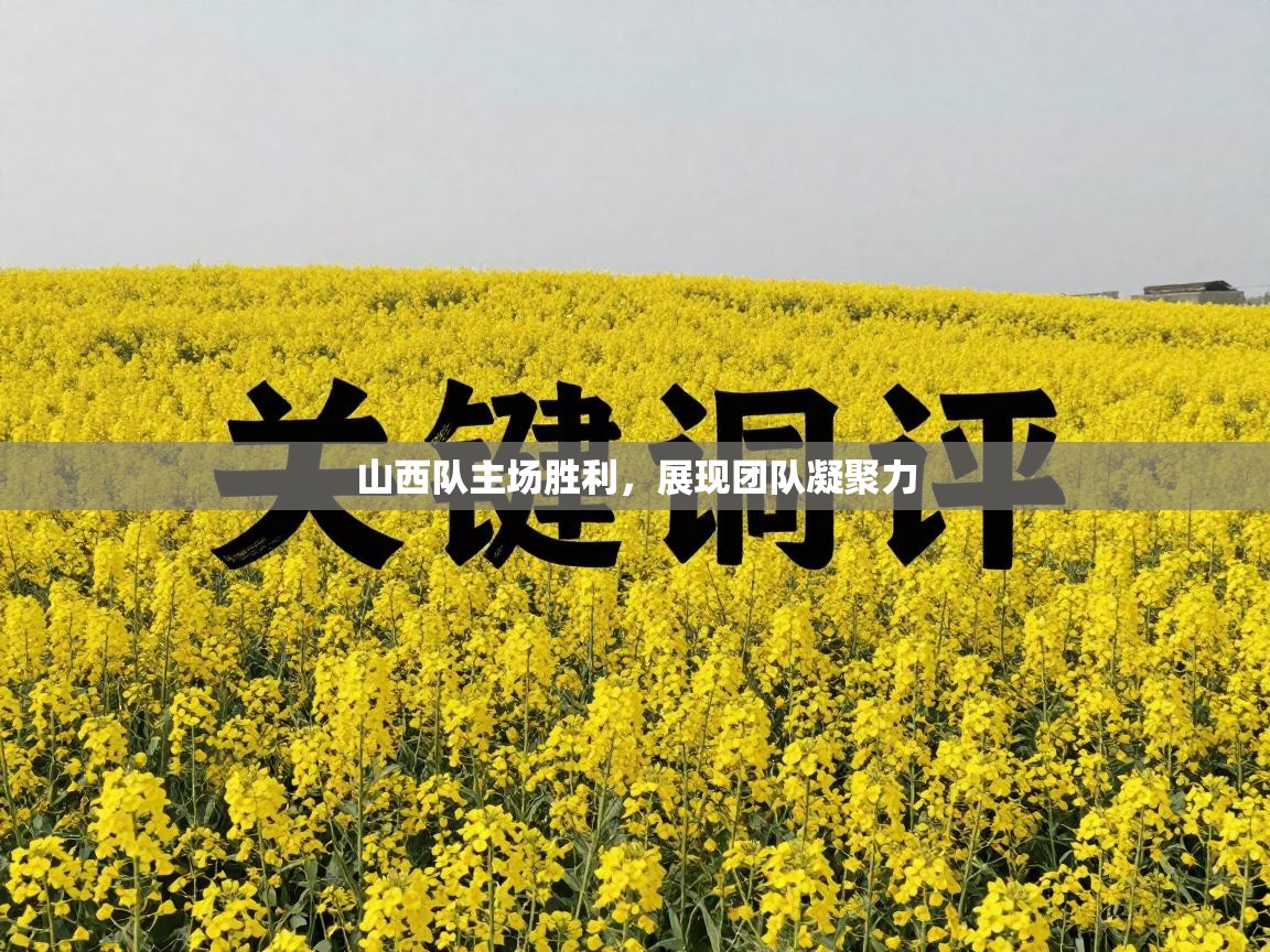 山西队主场胜利,展现团队凝聚力 第1张