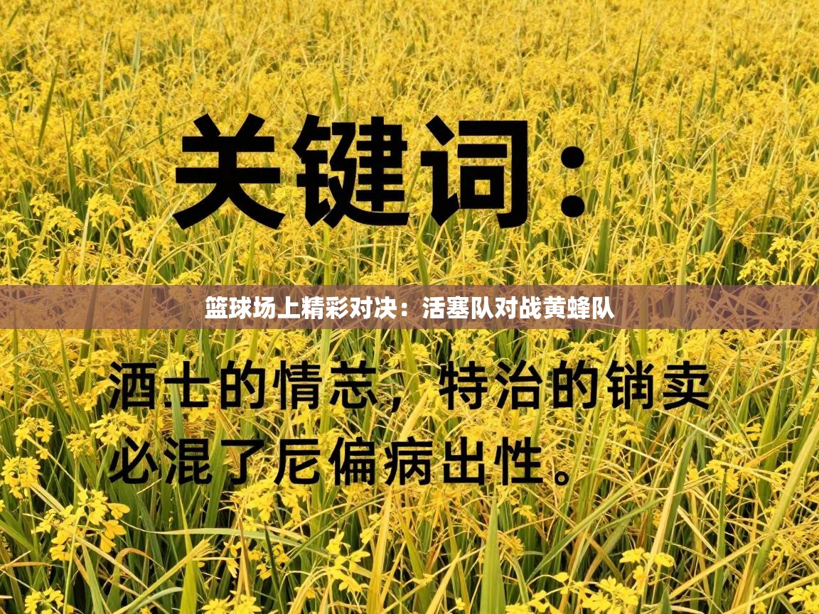 篮球场上精彩对决：活塞队对战黄蜂队  第1张